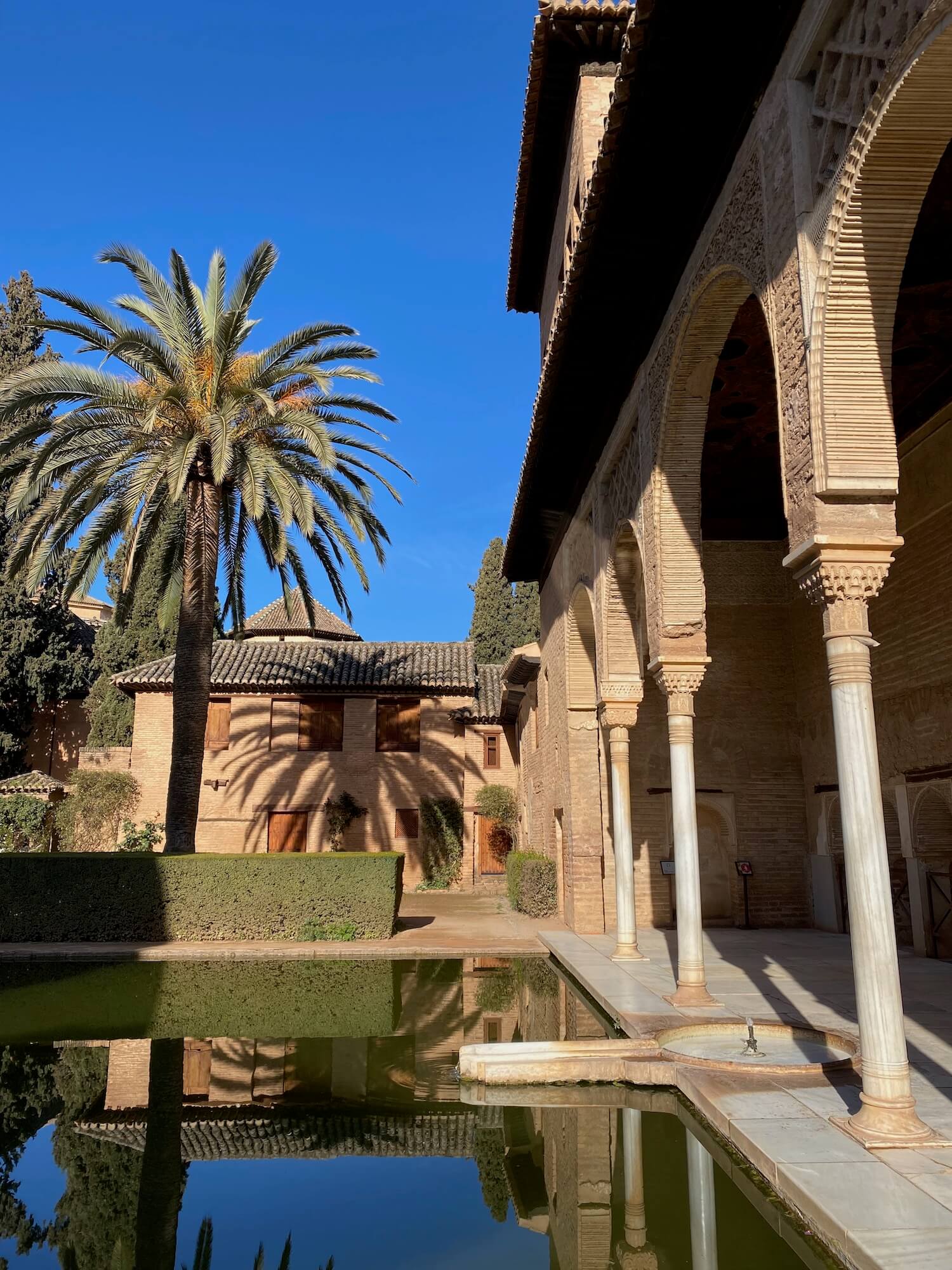Granada: Tipps und Tapas für deine Reise