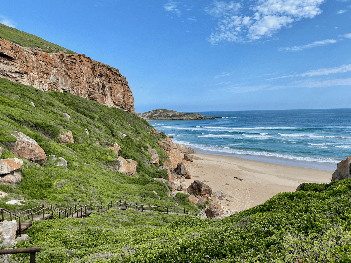 Garden Route Südafrika: 2 Wochen Roadtrip